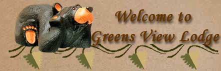 Welcome to Greens View Lodge